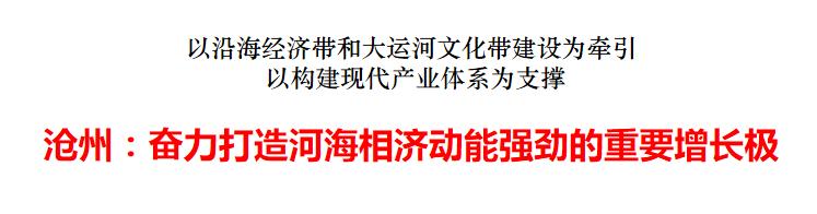 心潮澎湃！沧州奋力打造河海相济动能强劲的重要增长极
