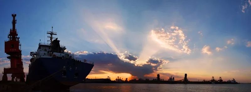 心潮澎湃！沧州奋力打造河海相济动能强劲的重要增长极