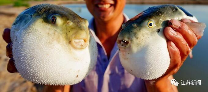 29斤鱼不翼而飞,40多斤鱼被找到了