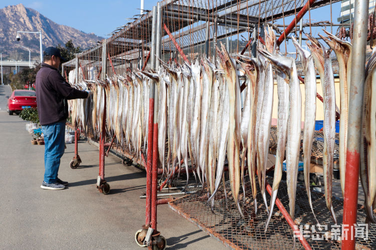 晾晒的各种鱼悬挂路边很是壮观，面包鱼价格为35元一斤，大鲈鱼42一斤……