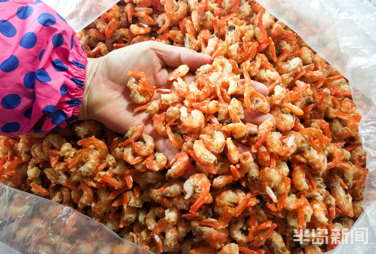 晾晒的各种鱼悬挂路边很是壮观，面包鱼价格为35元一斤，大鲈鱼42一斤……