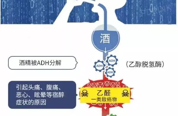 今天推俩福利：年货不能没肉；过节喝酒不能没这个保护神