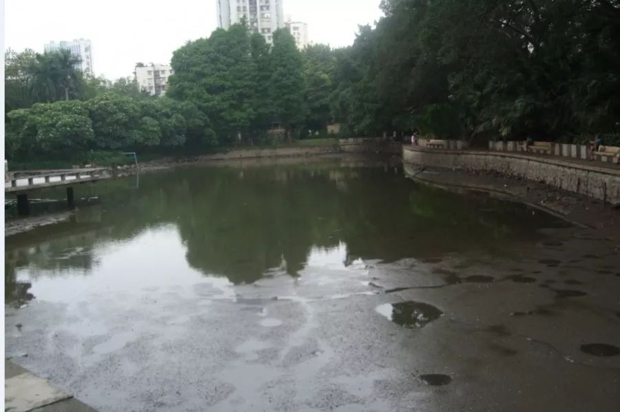 海珠区公园名单,广州公园排名前十名海珠湿地公园