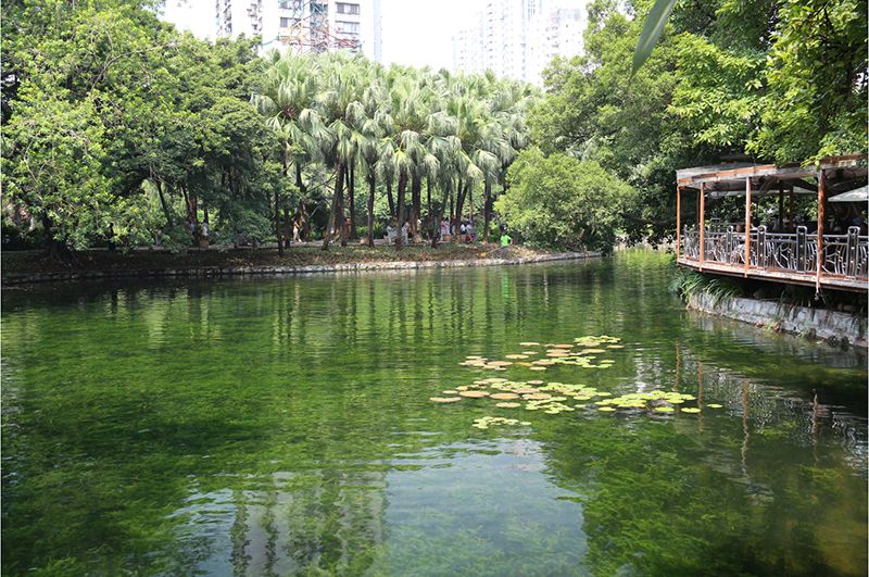 海珠区公园名单,广州公园排名前十名海珠湿地公园