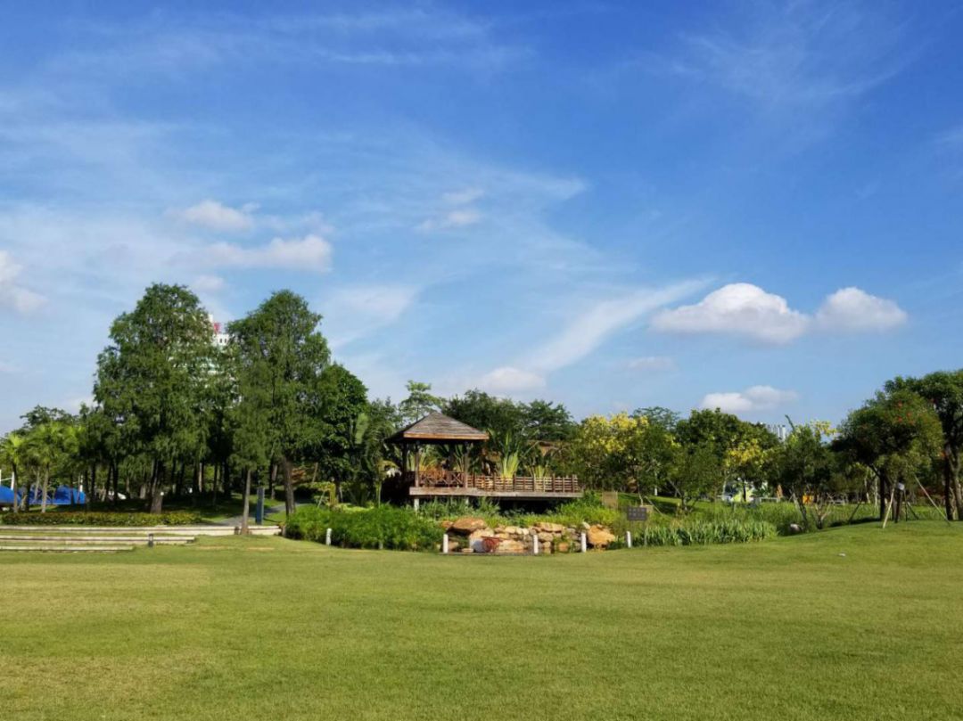 海珠区公园名单,广州公园排名前十名海珠湿地公园