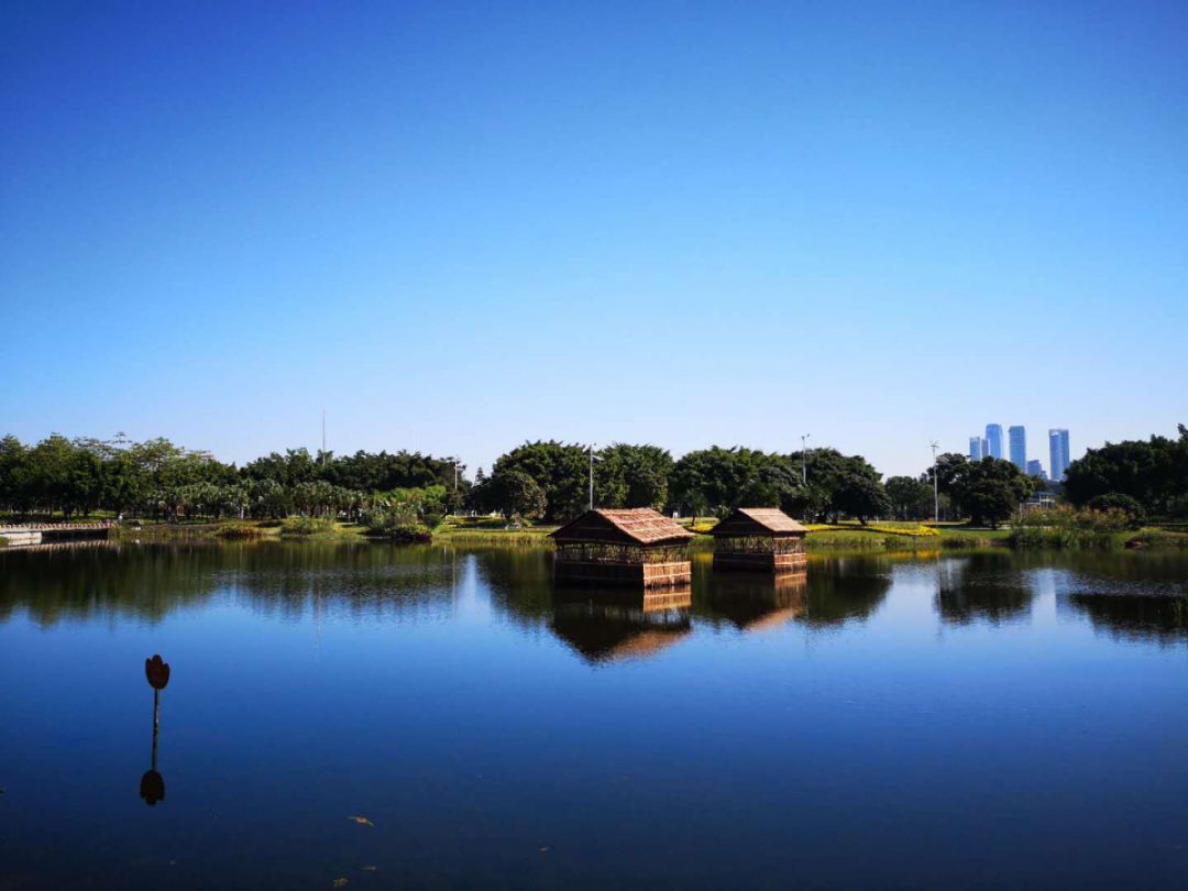 海珠区公园名单,广州公园排名前十名海珠湿地公园