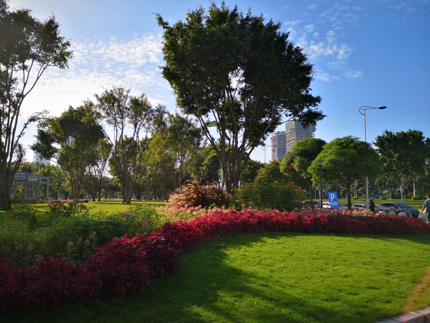 海珠区公园名单,广州公园排名前十名海珠湿地公园