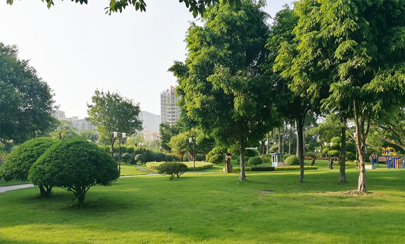 海珠区公园名单,广州公园排名前十名海珠湿地公园