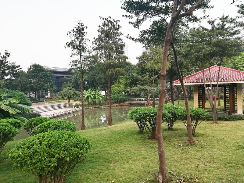 海珠区公园名单,广州公园排名前十名海珠湿地公园