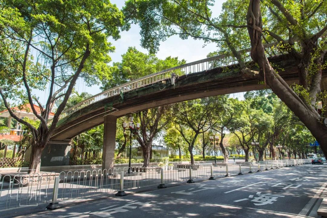 海珠区公园名单,广州公园排名前十名海珠湿地公园