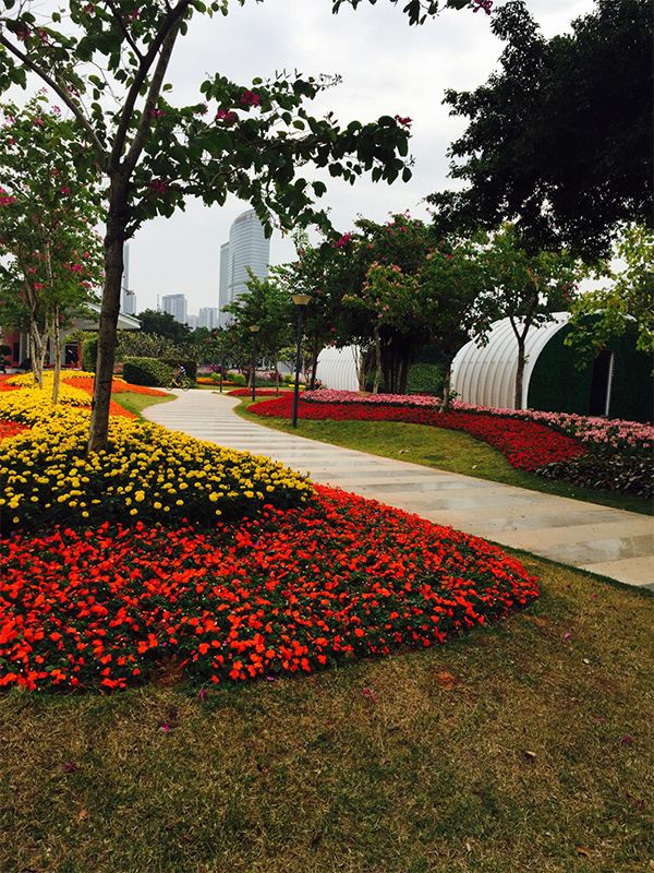 海珠区公园名单,广州公园排名前十名海珠湿地公园