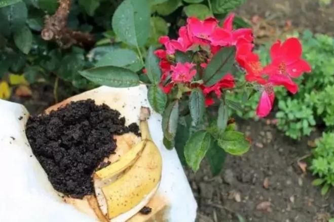 香蕉皮千万别扔，这几个妙用，能为你省下不少！安顺人收藏