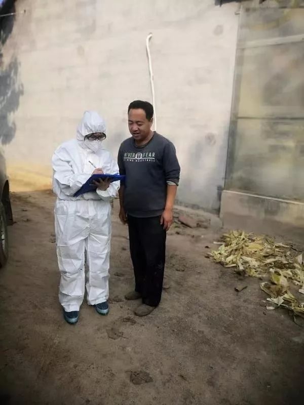 一路桃花为谁容齐陵农业再追梦