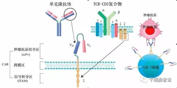 未来治疗癌症的新方法,未来癌症治疗的新方法