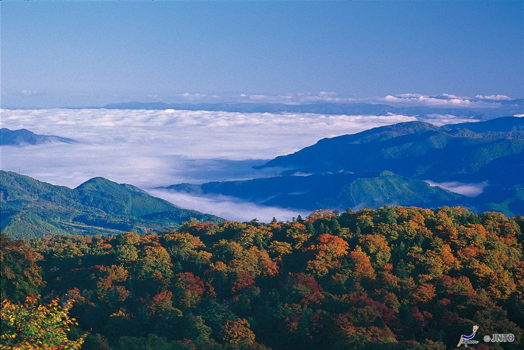 日本浪漫风景视频,日本冬季绝美景色视频