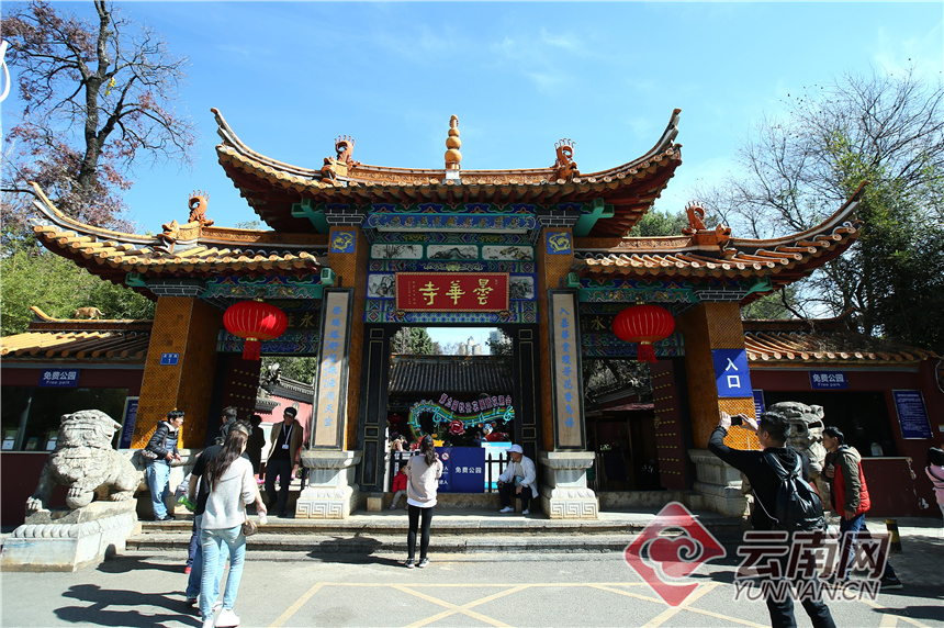 昆明昙华寺公园牡丹花开了吗,昙华寺公园牡丹开了吗