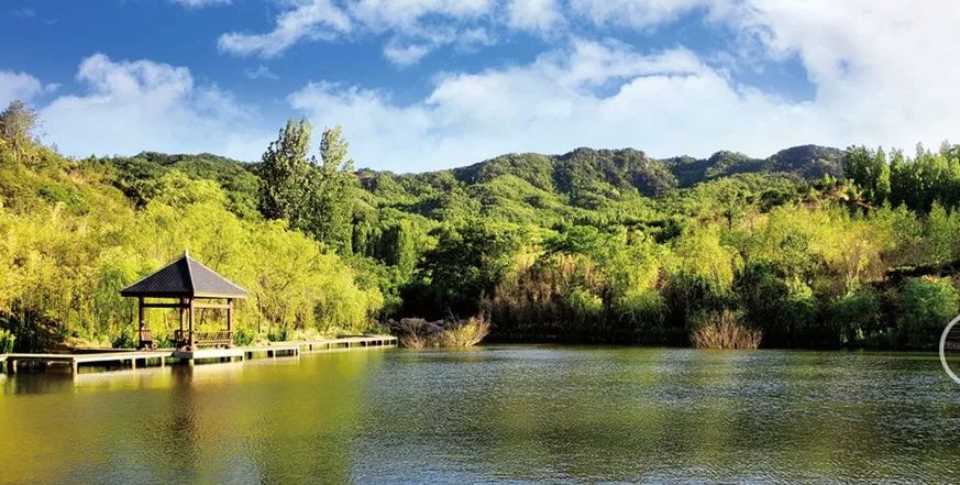 七天免费日本游,日本特惠旅游2月