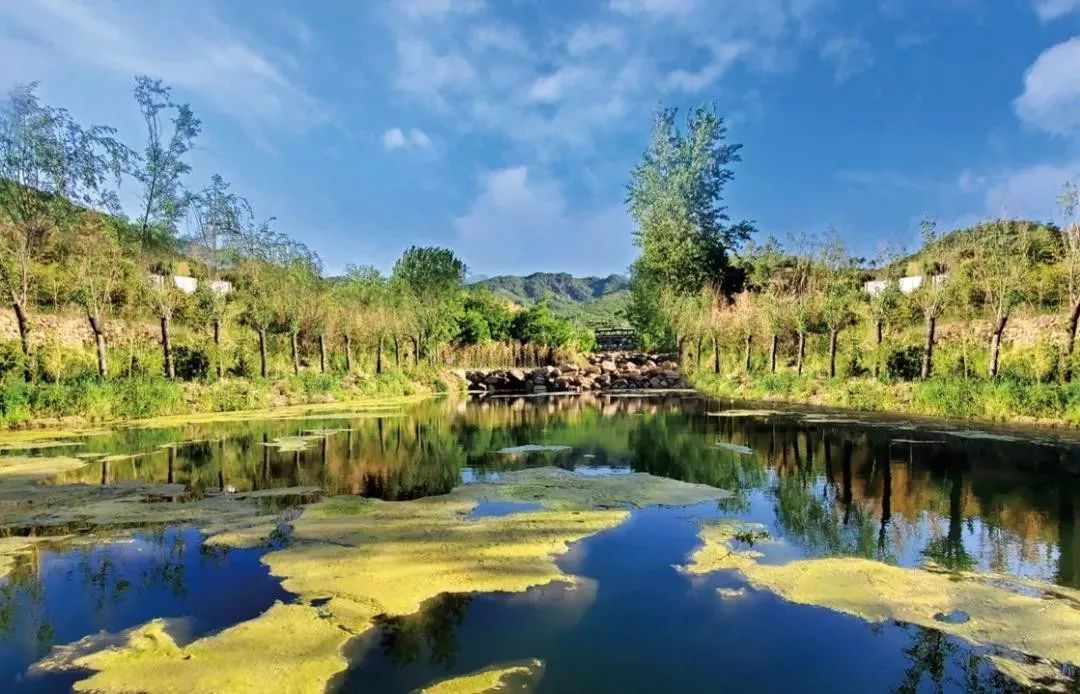 七天免费日本游,日本特惠旅游2月