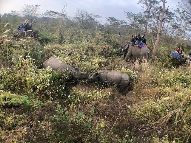 南亚国家旅行,南亚环球旅行