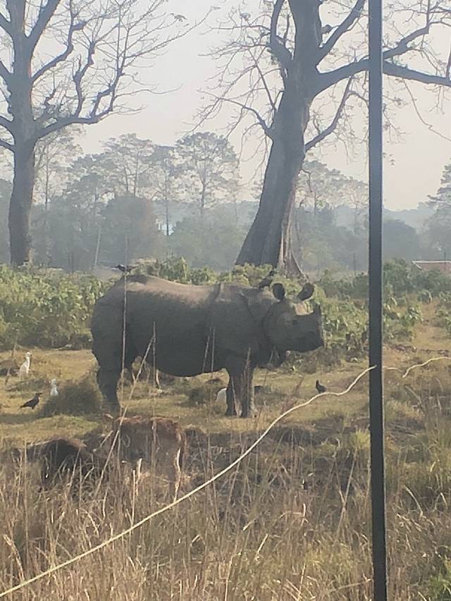 南亚国家旅行,南亚环球旅行