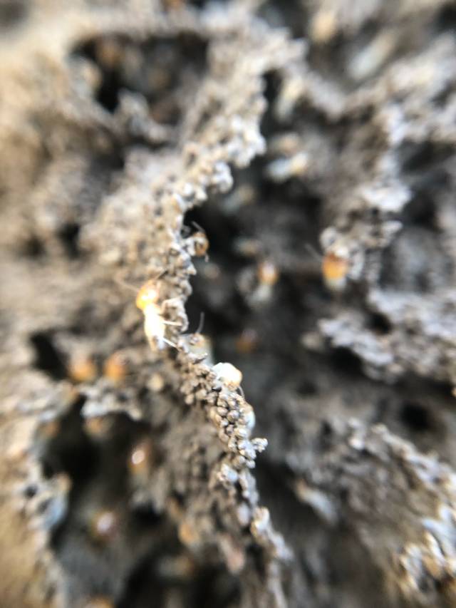 南亚国家旅行,南亚环球旅行