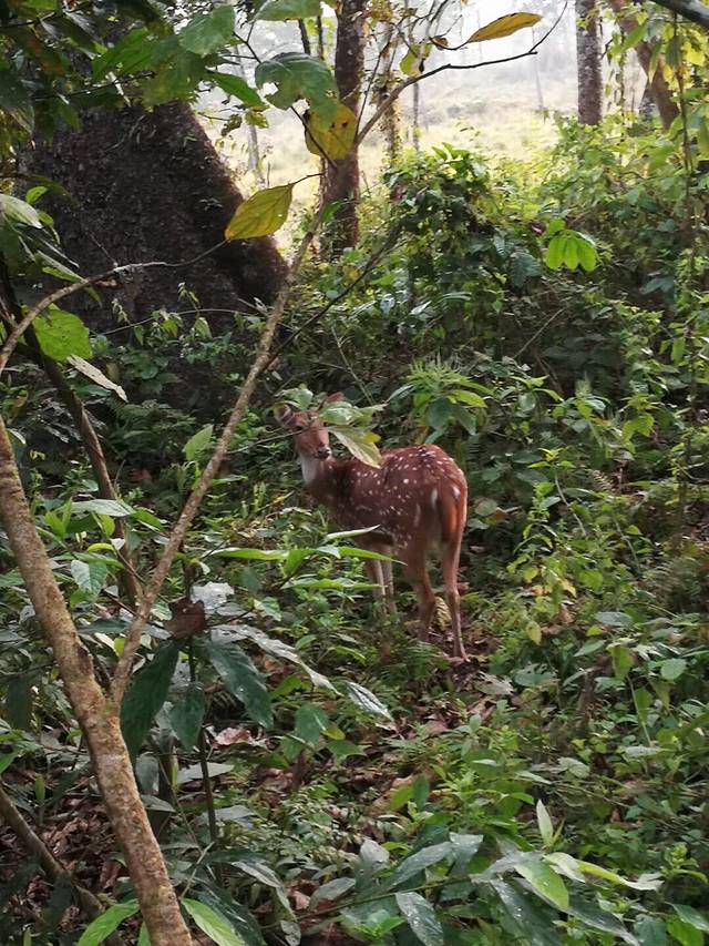 南亚国家旅行,南亚环球旅行