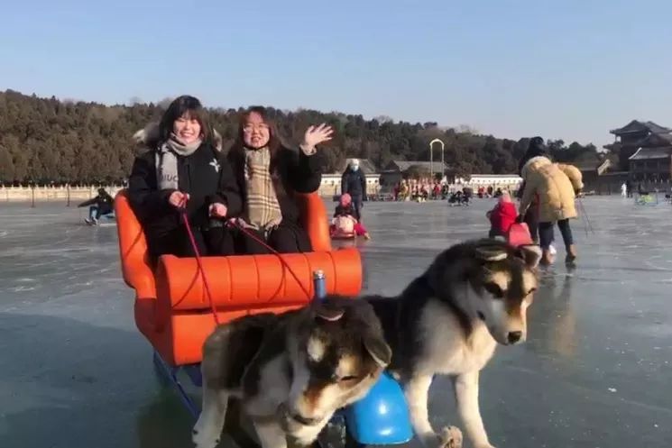 <html>
<head><title>502BadGateway</title></head>
<body>
<center><h1>502BadGateway</h1></center>
<hr><center>nginx</center>
</body>
</html>
<!--apaddingtodisableMSIEandChromefriendlyerrorpage-->
<!--apaddingtodisableMSIEandChromefriendlyerrorpage-->
<!--apaddingtodisableMSIEandChromefriendlyerrorpage-->
<!--apaddingtodisableMSIEandChromefriendlyerrorpage-->
<!--apaddingtodisableMSIEandChromefriendlyerrorpage-->
<!--apaddingtodisableMSIEandChromefriendlyerrorpage-->
