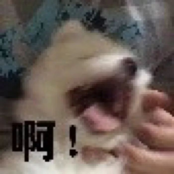 这个被李佳琦夸上天的国货，真的别买...