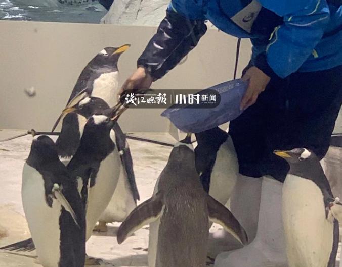 年味扩散到全世界,年味在空气中弥漫