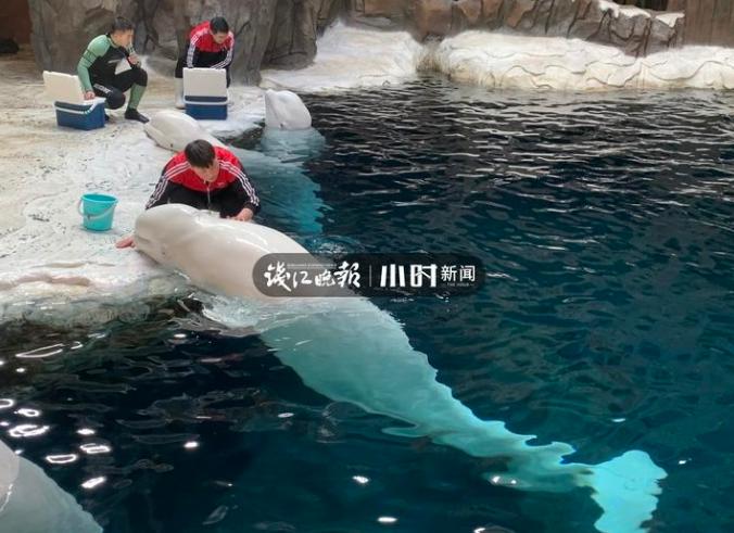 年味扩散到全世界,年味在空气中弥漫