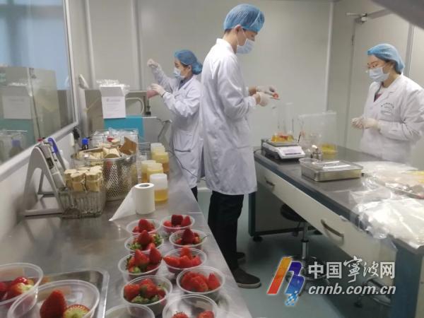 鱼头鱼籽不能吃？草莓洗几遍才干净？来看实验结果