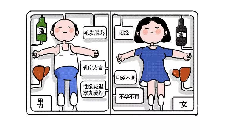 每天喝一杯酒会得脂肪肝吗,很难得喝一次酒伤肝吗