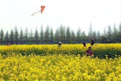 黄汉亮｜闲话崇明这些借助空气的玩具