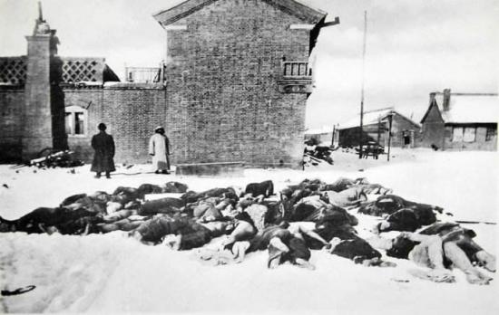 一场大瘟疫为何蔓延150年,最严重的瘟疫是哪一年