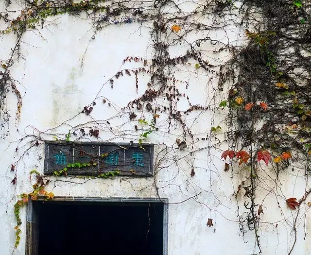 教科书式自我隔离,自我隔离要多少天