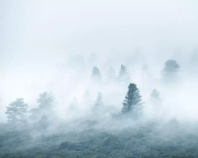 教科书式自我隔离,自我隔离要多少天