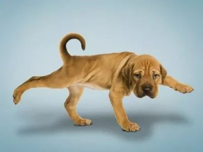 为什么在家里呆久了会闷,家中呆久了闷得慌