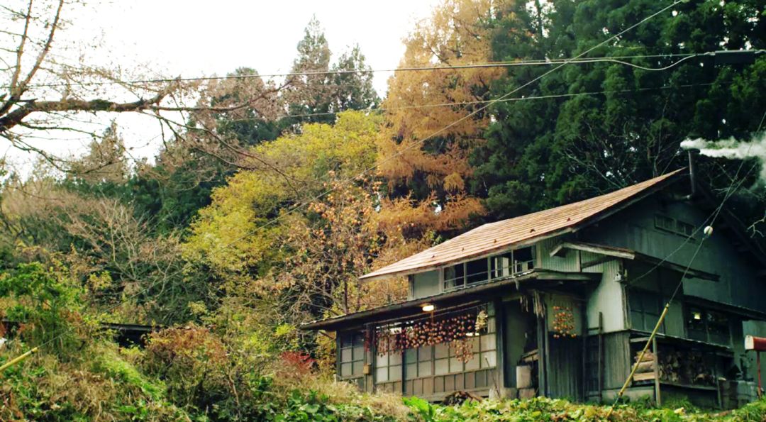 宅在家里也能拍出大自然风景,宅在家里挖掘自己的潜能