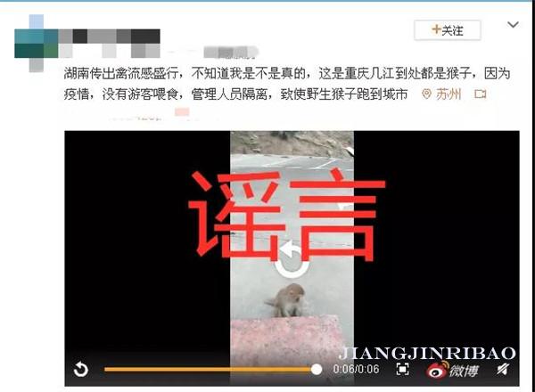 重庆江津新闻最新通报,江津警方最新通报