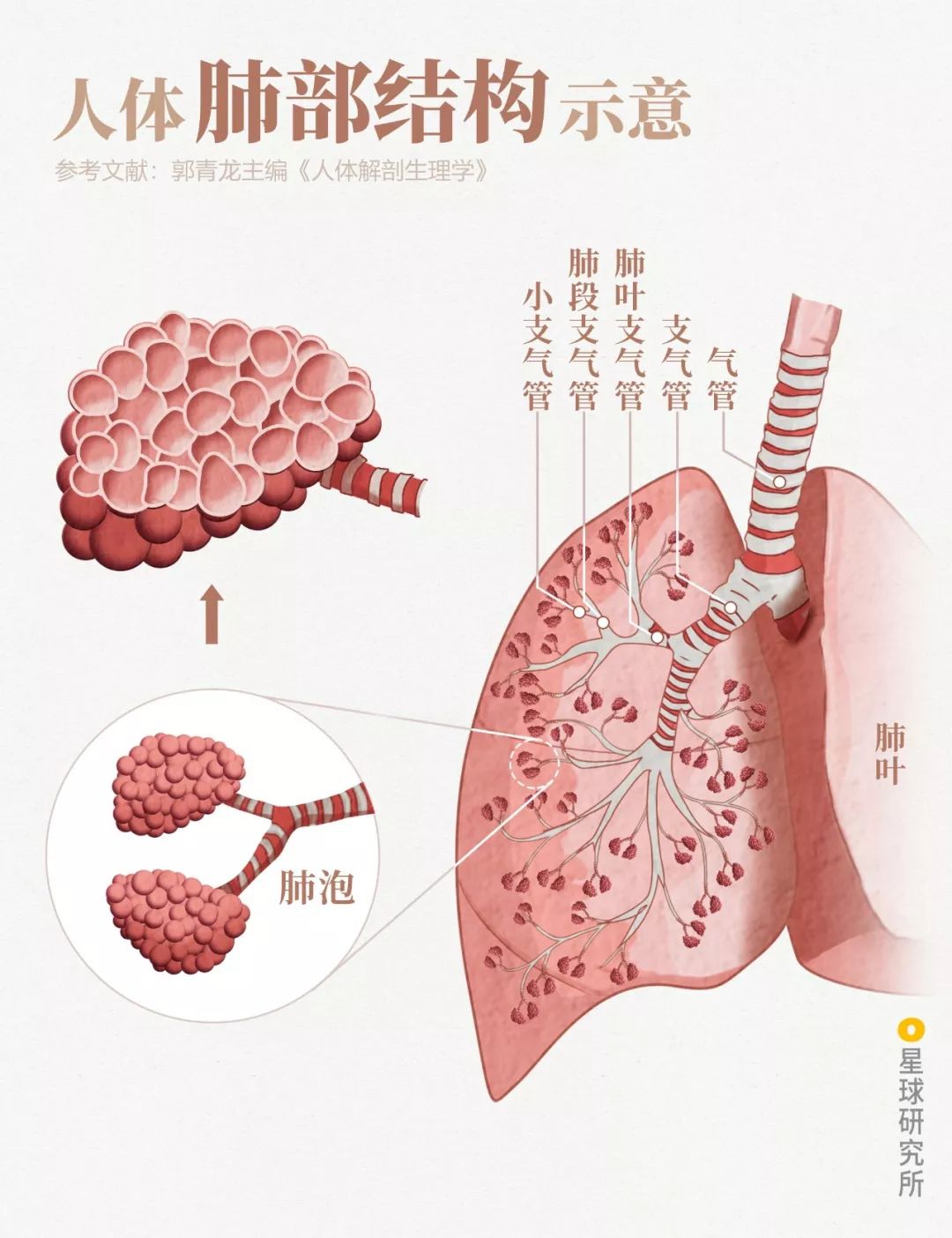 鍋囧鐥呮瘨鎰熸煋浜嗘垜,鍋囧鐥呮瘨鎰熸煋浜嗕綘
