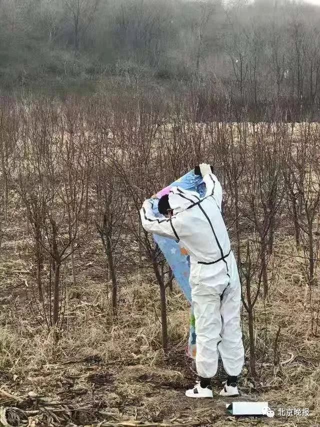 疫情时期蝙蝠飞进家里会被传染吗,疫情严重蝙蝠飞到家里怎么办