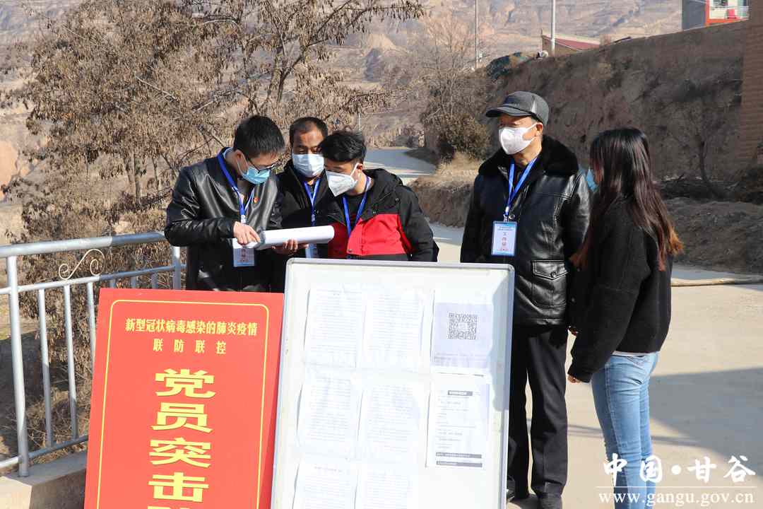 甘谷县村书记变身代购员 (甘肃甘谷阳寨村书记)