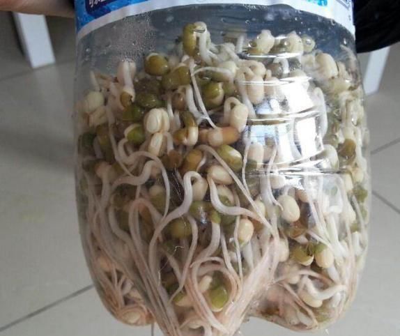 疫情老人防疫方法,疫情老人如何防控