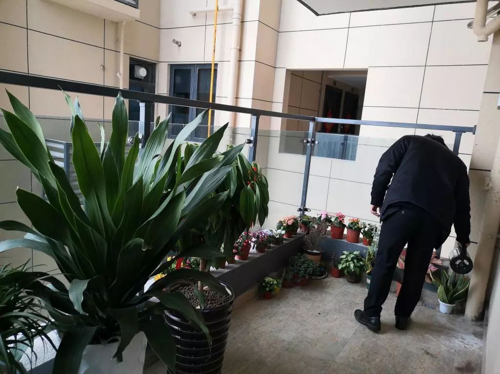 有没有羡慕别人家的物业,有一种羡慕别人家公司的福利