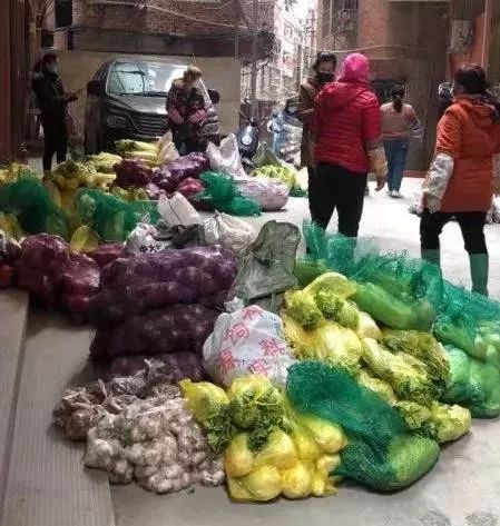 今日网格员疫情防控,村网格员疫情防控简报