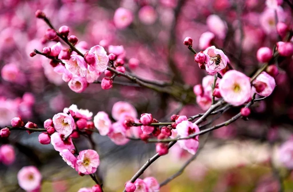 收到诈骗电话舍不得挂，看来他们也复工了，真好