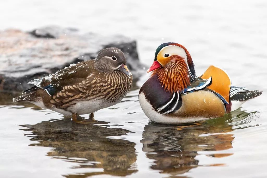 收到诈骗电话舍不得挂，看来他们也复工了，真好