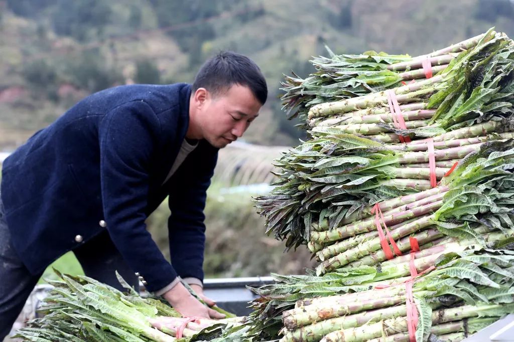 收到诈骗电话舍不得挂，看来他们也复工了，真好