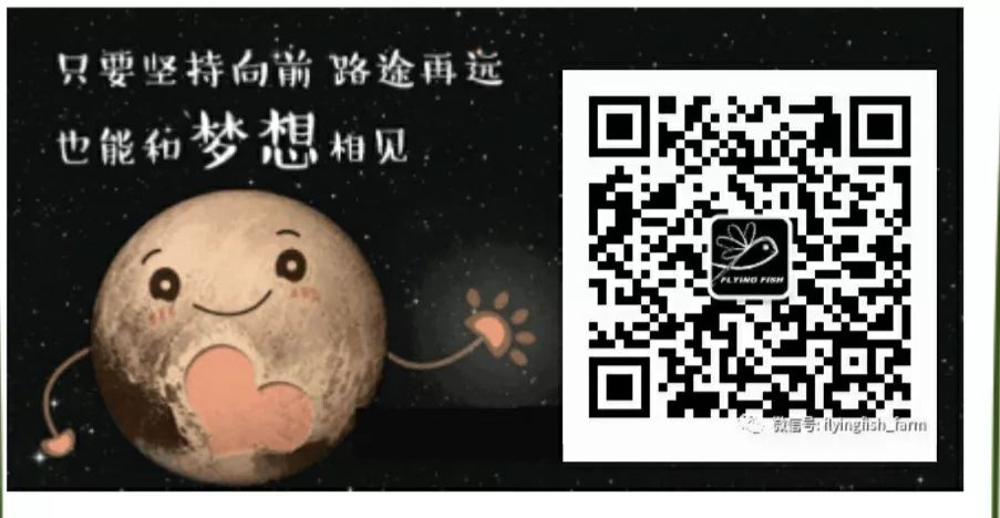 2020慈鲷筑巢大赛~非洲三湖沙雕艺术家的盛宴