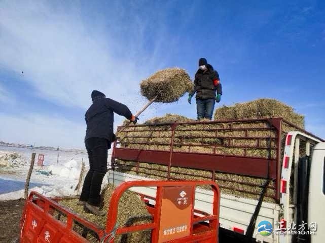 锡林郭勒盟新冠肺炎疫情防控,锡林郭勒盟市疫情防控政策